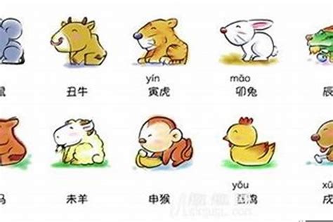 五行代表動物|如何区分动物的五行属性？